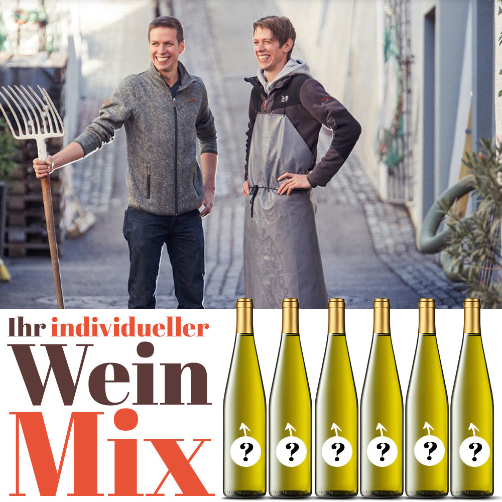 Ihre Wein-Auswahl - Winzerhof Sax / Langenlois (Kamptal, NÖ)