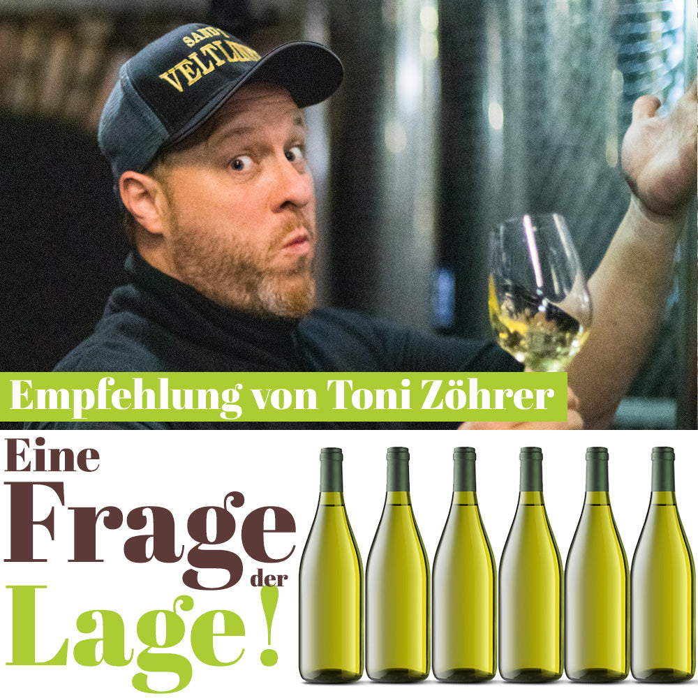 Eine Frage der Lage: Top-Lagenweine vom Weingut Zöhrer / Krems a.d. Donau (NÖ)