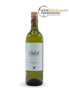 Sauvignon Blanc „Homok“ 2023 - Weingut Salzl